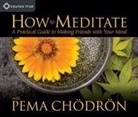 Pema Chodron - How to Meditate With Pema Chodron (Audio book)