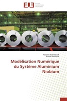 Hassan Arahmouch, Hassane Arahmouch, Kamal Mahdouk - Modelisation numerique du systeme