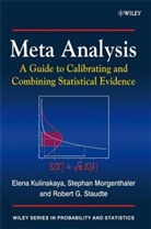 E Morgenthaler Kulinskaya, Elen Kulinskaya, Elena Kulinskaya, Kulinskaya Elena, Stepha Morgenthaler, Stephan Morgenthaler... - Meta Analysis