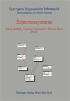 Thoma Frühwirth, Thomas Frühwirth, Georg Gottlob, Werner Horn - Expertensysteme