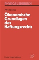 Alfred Endres - Ökonomische Grundlagen des Haftungsrechts