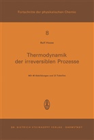R Haase, R. Haase, Rolf Haase - Thermodynamik der Irreversiblen Prozesse