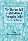 Pier Angelo Toninelli, Pier Angelo (Universit... Degli Studi D Toninelli, Pier Angelo (Universita Degli Studi DI Toninelli, Pier Angelo Toninelli - Rise and Fall of State-Owned Enterprise in the Western World
