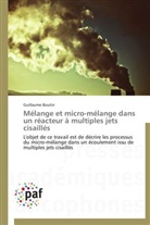 Guillaume Boutin, Boutin-g - Melange et micro melange dans un