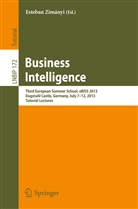 Esteba Zimányi, Esteban Zimányi - Business Intelligence