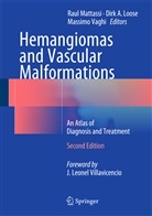 Dir A Loose, Dirk A Loose, Dirk A. Loose, Raul Mattassi, Massimo Vaghi - Hemangiomas and Vascular Malformations