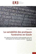 Sandra Labsi, Labsi-s - La variabilite des pratiques