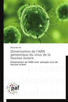 Ali-m, Moez Ben Ali - Dimerisation de l arn genomique