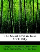 George J. Kneeland, New York (N. Y. ) Committee of Fourteen - The Social Evil in New York City