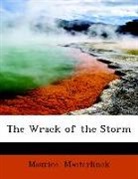 Maurice Maeterlinck - The Wrack of the Storm (Large Print Edit