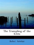Rafael Sabatini - The Trampling of the Lilies (Large Print