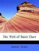 Anatole France - The Well of Saint Clare (Large Print Edi