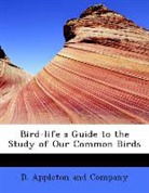 D. Appleton and Comp, D. Appleton And Company - Bird-Life a Guide to the Study of Our Co