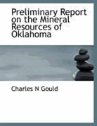 Charles N Gould - Preliminary Report on the Mineral Resour