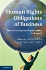 Surya Deva, Surya (City University of Hong Kong) Bilchit Deva, Surya Bilchitz Deva, David Bilchitz, Bilchitz David, Surya Deva... - Human Rights Obligations of Business