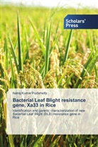 Natraj Kumar Podishetty - Bacterial Leaf Blight resistance gene, Xa33 in Rice