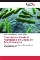 Silvana Pertuz Belloso, Silvana B Pertuz Belloso, Silvana B. Pertuz Belloso, Elizabeth Rámirez - Caracterización de la Fagocitosis en Cepas de Acanthamoeba
