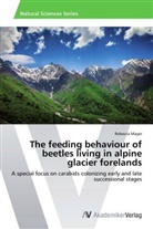 Rebecca Mayer - The feeding behaviour of beetles living in alpine glacier forelands