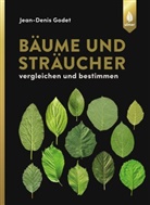Jean-D Godet, Jean-Denis Godet - Bäume und Sträucher vergleichen und bestimmen