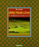 Zwölf wilde Gänse