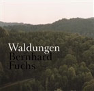 BERNARD FUCHS, Bernhard Fuchs - Bernhard Fuchs. Waldungen