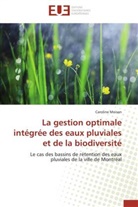 Caroline Moisan, Moisan-c - La gestion optimale integree des