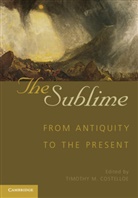 Timothy M. Costelloe, Timothy M. (College of William and Mary Costelloe, Timothy Costelloe, Timothy M Costelloe, Timothy M. Costelloe, Timothy M. (College of William and Mary Costelloe... - Sublime