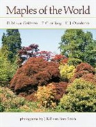 P. C. de Jong, D. M. van Gelderen, H. J. Oterdoom, D. M. Van Gelderen - Maples of the World