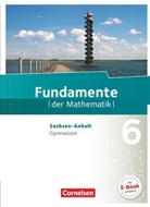 Han Ahrens, Andreas Pallack, Anna-Kristin Rose, Anne-Kristina Durstewitz, Ral Benölken, Ralf Benölken... - Fundamente der Mathematik, Gymnasium Sachsen-Anhalt: Fundamente der Mathematik - Sachsen-Anhalt ab 2015 - 6. Schuljahr