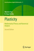 Weimi Han, Weimin Han, B Daya Reddy, B. Daya Reddy, Daya Reddy - Plasticity