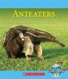 Josh Gregory - Anteaters