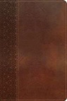 Thomas Nelson, Thomas Nelson Publishers, Nelson Bibles - Gift Bible