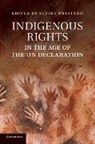 Elvira Pulitano, Elvira (California Polytechnic State Uni Pulitano, Elvira Pulitano, Pulitano Elvira - Indigenous Rights in the Age of the Un Declaration