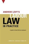 Andrew Levy, Dan Levy, Mr Andrew Levy - Andrew Levy’s guide to South African labour law