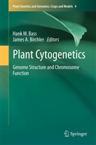 A Birchler, A Birchler, Han Bass, Hank Bass, James A Birchler, James A. Birchler - Plant Cytogenetics