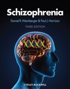 Paul Harrison, Daniel R. Weinberger, Daniel R. (EDT)/ Harrison Weinberger, Daniel R. (National Institute of Menta Weinberger, Daniel R. Harrison Weinberger, P Weinberger... - Schizophrenia