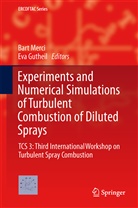Gutheil, Gutheil, Eva Gutheil, Bar Merci, Bart Merci - Experiments and Numerical Simulations of Turbulent Combustion of Diluted Sprays