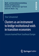 Tine Schrammel - Clusters as an instrument to bridge institutional voids in transition economies