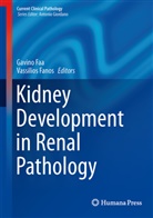 Gavin Faa, Gavino Faa, Fanos, Fanos, Vassilios Fanos - Kidney Development in Renal Pathology