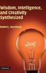 Robert J. Sternberg, Robert J. (Yale University Sternberg - Wisdom, Intelligence, and Creativity Synthesized