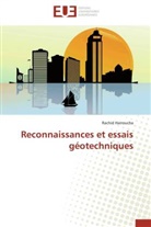 Rachid Harroucha, Harroucha-r - Reconnaissances et essais