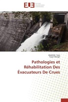 Abdella Faris, Abdellah Faris, Yasyn Merigh - Pathologies et rehabilitation des