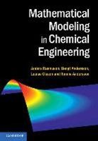 Bengt Andersson, Andersson Bengt, Andersson Ronnie, Anders Rasmuson &amp; Bengt Andersson, Louise Olsson, Olsson Louise... - Mathematical Modeling in Chemical Engineering