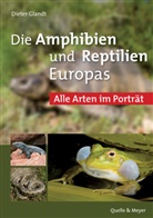 Dieter Glandt - Die Amphibien und Reptilien Europas