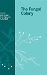 British Mycological Society, N. A. R. (University of Aberdeen) Robson Gow, N. A. R. Robson Gow, N.a.r. Robson Gow, G. M. Gadd, Geoffrey Michael Gadd... - Fungal Colony