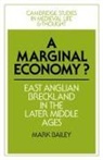 Mark Bailey - Marginal Economy?