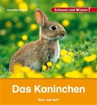 Veronika Straaß - Das Kaninchen
