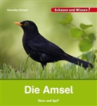 Veronika Straaß - Die Amsel