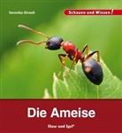 Veronika Straaß - Die Ameise