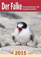 Der Falke, Taschenkalender für Vogelbeobachter 2015